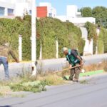 SERVICIOS MUNICIPALES DE SOLEDAD LLEVA LIMPIEZA Y REHABILITACION URBANA A FRACC. PUERTA REAL