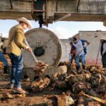 ESPECIALISTAS VITIVINÍCOLAS EXPLORAN LA ESENCIA DEL MEZCAL POTOSINO