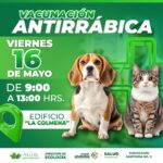 INVITAN A LLEVAR A MASCOTAS AL MÓDULO DE VACUNACIÓN ANTIRRÁBICA