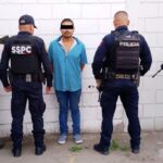 DETENCIONES, DECOMISOS Y DESTRUCCIÓN DE PLANTÍOS EN EL PAÍS