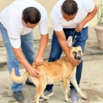 INICIA CAMPAÑA DE VACUNACIÓN ANTIRRÁBICA