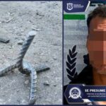 GRACIOSITO PONÍA PONCHA LLANTAS EN MATEHUALA