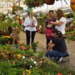 SOLEDAD PREPARA FERIA DE LAS FLORES 2025 CON GRAN ARRAIGO CULTURAL