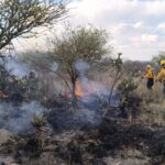 Autoridades estatales y federales coordinan estrategias ante temporada de incendios en San Luis Potosí