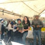 Gobierno de San Luis Potosí amplía programa de reforestación con entrega de árboles frutales y maderables