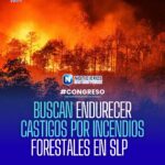 Proponen incrementar penas por incendios forestales en Código Penal de San Luis Potosí