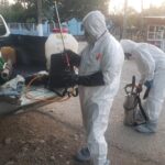 San Luis Potosí intensifica acciones sanitarias contra el gusano barrenador