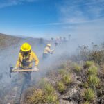 San Luis Potosí reporta 47 incendios forestales en los primeros dos meses del año