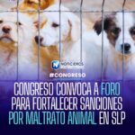 Congreso de SLP convoca a foro ciudadano para endurecer sanciones por maltrato animal