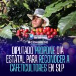 Diputado propone crear el Día Estatal del Cafeticultor en San Luis Potosí