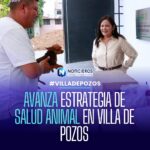 Villa de Pozos aplica más de 200 vacunas antirrábicas en jornada gratuita en El Palmar