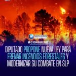 Diputado propone nueva ley para prevenir incendios forestales y modernizar combate en SLP