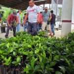 Gobierno estatal entrega plantas de café a familias tének en Tancanhuitz