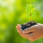 IMPULSAN LEY AMBIENTAL CON SOLUCIONES NATURALES