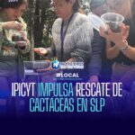 IPICYT impulsa rescate de cactáceas en San Luis Potosí con talleres de germinación e injerto
