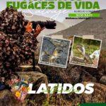 Villa de Pozos inaugura exposición fotográfica ‘Momentos Fugaces de Vida Salvaje’