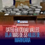 CATEO EN CIUDAD VALLES DEJA MÁS DE 33 KILOS DE MARIHUANA