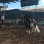 SAN LUIS POTOSÍ LOGRA DOS TRIUNFOS EN CAMPEONATO NACIONAL DE CABALLOS BAILADORES