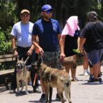 Villa de Pozos realizará la primera carrera PETRUN con cupos llenos