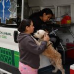 Ambulancia Ambudog en Soledad brindó más de 9 mil atenciones gratuitas a perros y gatos