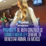 Iniciativa de Ruth González se integra a la nueva Ley General de Bienestar Animal en México