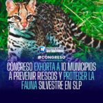 CONGRESO EXHORTA A 10 MUNICIPIOS A PREVENIR RIESGOS Y PROTEGER LA FAUNA SILVESTRE EN SLP