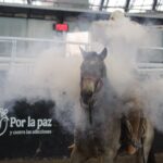 Continúa la eliminatoria AA del LXXXII Campeonato Nacional Charro en la Arena Potosí