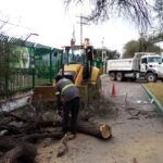 FEREPO 2026: Villa de Pozos recolectó 96 toneladas de residuos en 11 días