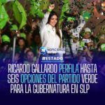 Gallardo perfila hasta seis perfiles del PVEM para la gubernatura de San Luis Potosí en 2027