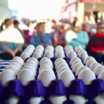 SAN LUIS POTOSÍ OCUPA QUINTO LUGAR NACIONAL EN PRODUCCIÓN DE HUEVO